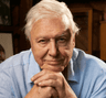 David Attenborough avatar